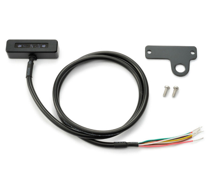 Afișarea temperaturii „Daytona” - imagine 2