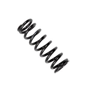 Piese și accesorii pentru amortizor spate